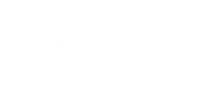 Logo Palmafrique Groupe 2