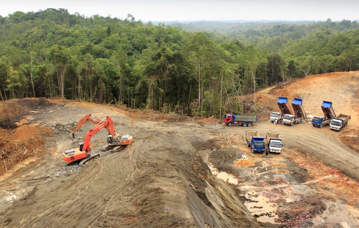 722x460 La Deforestation A Borneo