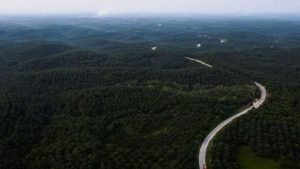 2025 03 26t055056z 1 Lynxnpel2p06o Rtroptp 3 Indonesia Palmoil