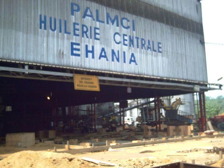 Palmci