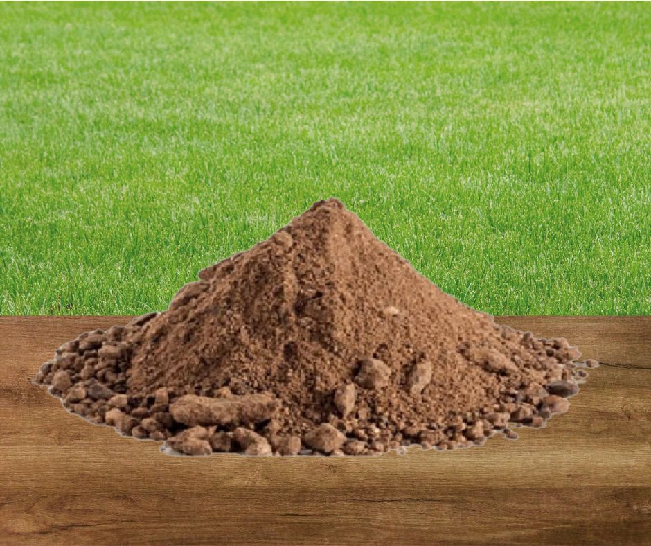 Photos Site Palmafrique(3)