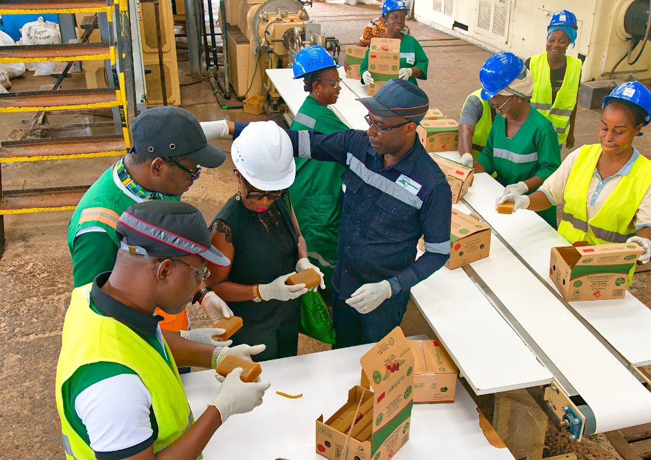 Photos Site Palmafrique(1)