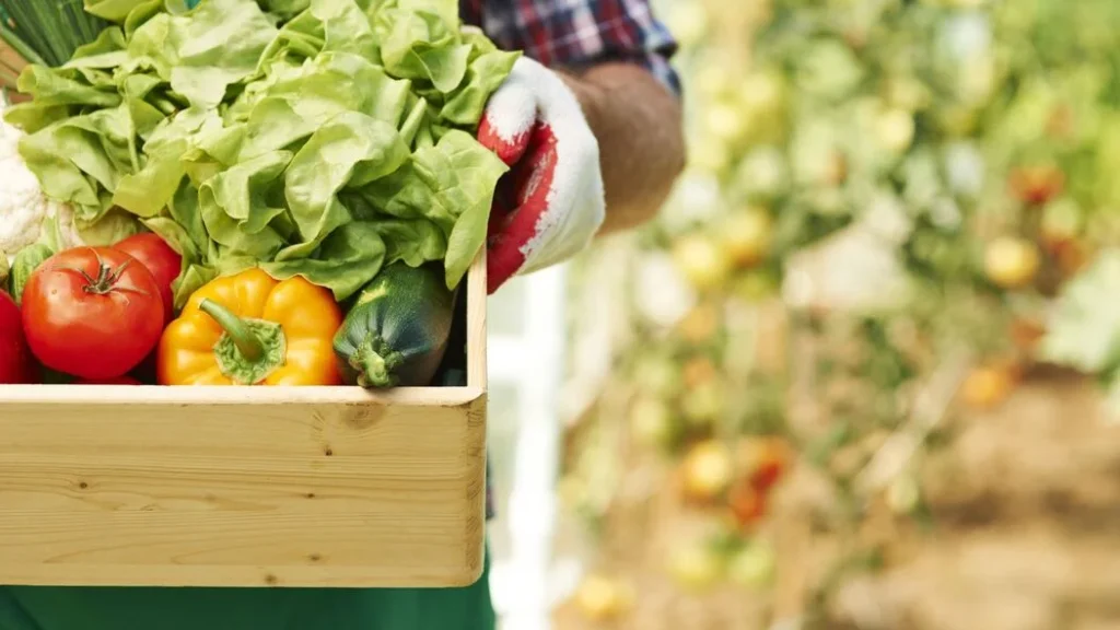 7a26f333f49e2f3187b65186b02c5e