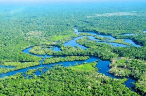Brazil Cuts Amazon Deforestation To 11 Year Low Ahead Of Cop30 1024x680
