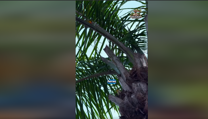 Capture D’écran 2025 12 10 125031