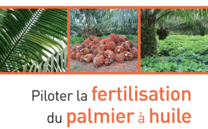 Capture D’écran 2025 12 11 161859