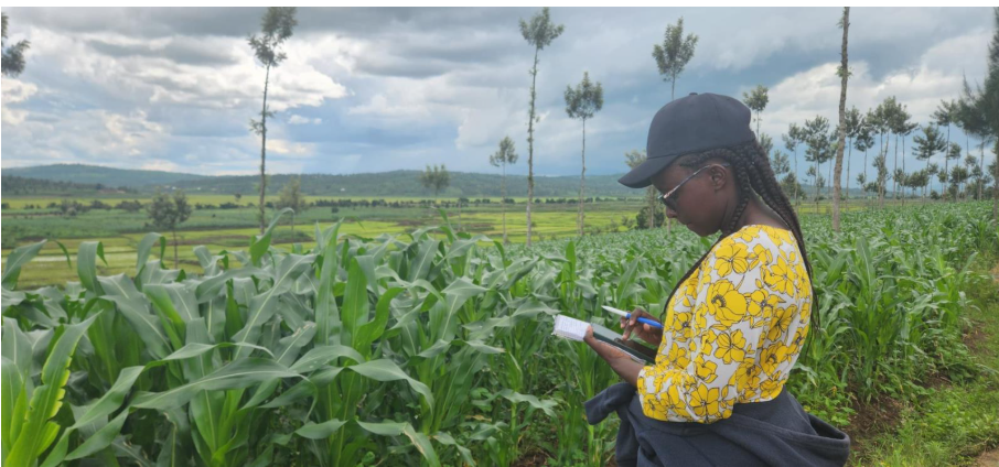 Capture D’écran 2025 12 11 163353