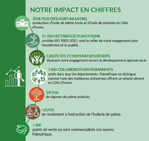 Chiffres Palmafrique